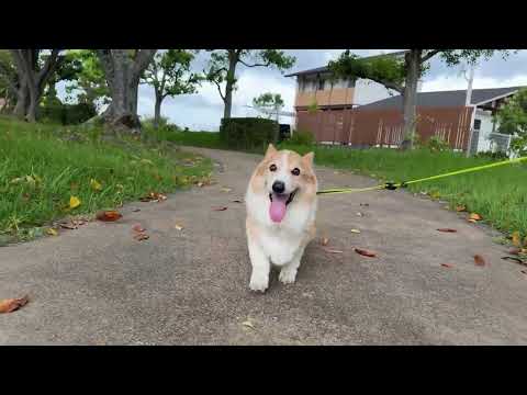 リブレラ体験談｜BLOG