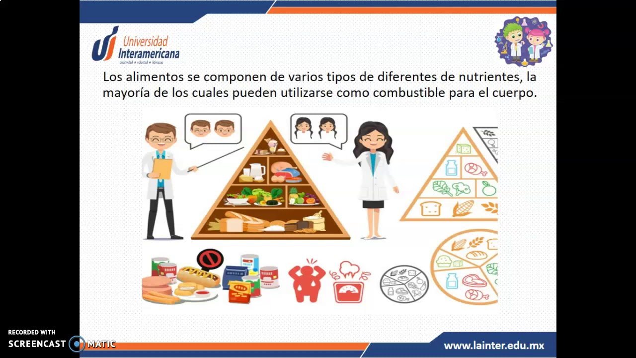 C17:Combustión de los alimentos - YouTube