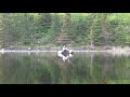 Field testing the bamboo rod