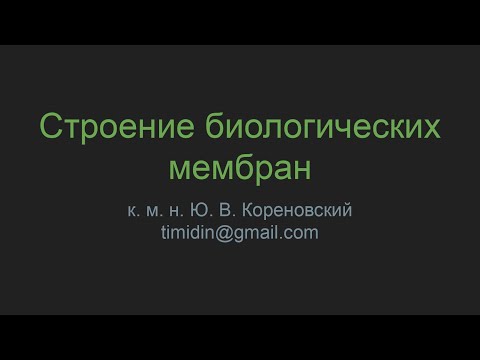 Строение биологических мембран