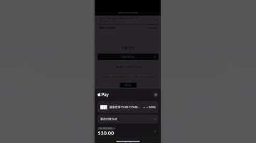 綠界金流  #applepay #ecpaytw #paymentgateway #sandbox