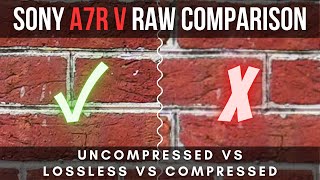Sony a7R V RAW File Comparison || Uncompressed VS Lossless VS Compressed