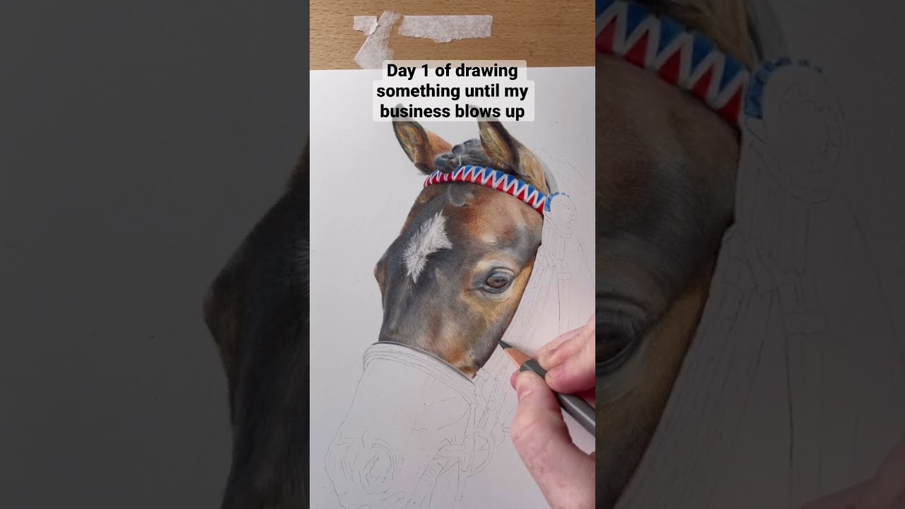 Learn to draw with me #pencildrawing #horseart #horsedrawing #smallbusiness #artwork
