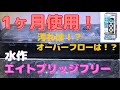 【 金魚 】水作 エイトブリッジフリー。1ヶ月使用レビュー！汚れは？オーバーフロー？