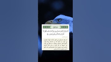 ياسر الدوسري تلاوة من #سورة_النحل #ياسر_الدوسري #القرآن_الكريم #shots #ياسر_الدوسرى #subscribe