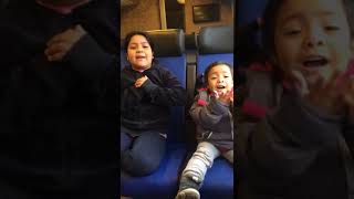 VID 20190330 WA0059