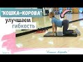 Упражнение &quot;Кошка-Корова&quot; для гибкости позвоночника. Правильная техника/Серия &quot;Здоровый позвоночник&quot;