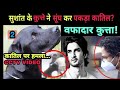 Sushant Singh Rajput dog fudge can help to CBI | Rhea Chakraborty | NOOK POST