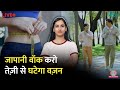 Brisk Walking नहीं, Weight Loss में सबसे असरदार है Japanese 3-Minute Interval Walking| Sehat