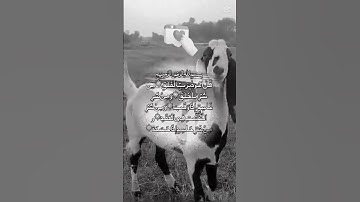 #سورة_الفلق #اكسبلور #المصحف #دحمان #تيك_توك #الرحمن #villagelife #دويتو #القزابري #ترند #الورقات