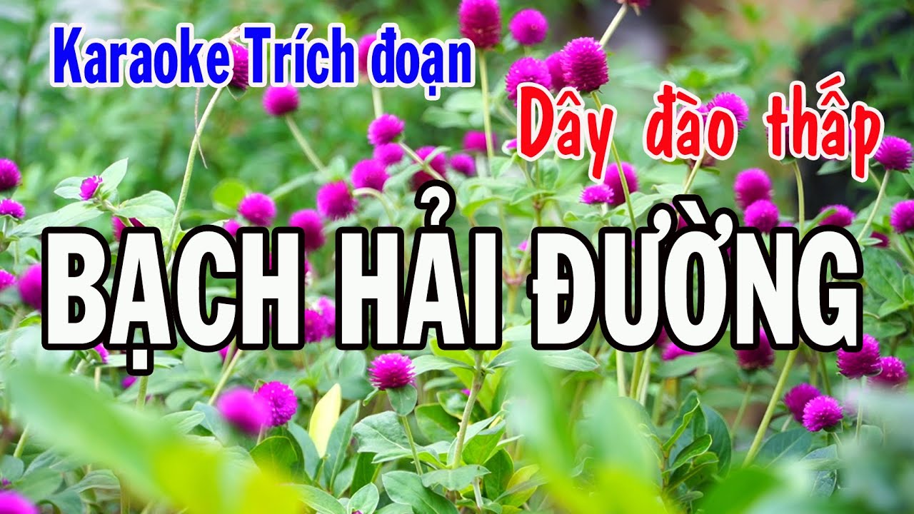 Karaoke trích đoạn BẠCH HẢI ĐƯỜNG - DÂY ĐÀO THẤP