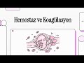 Trombositler, hemostaz ve pıhtılaşma mekanizmaları
