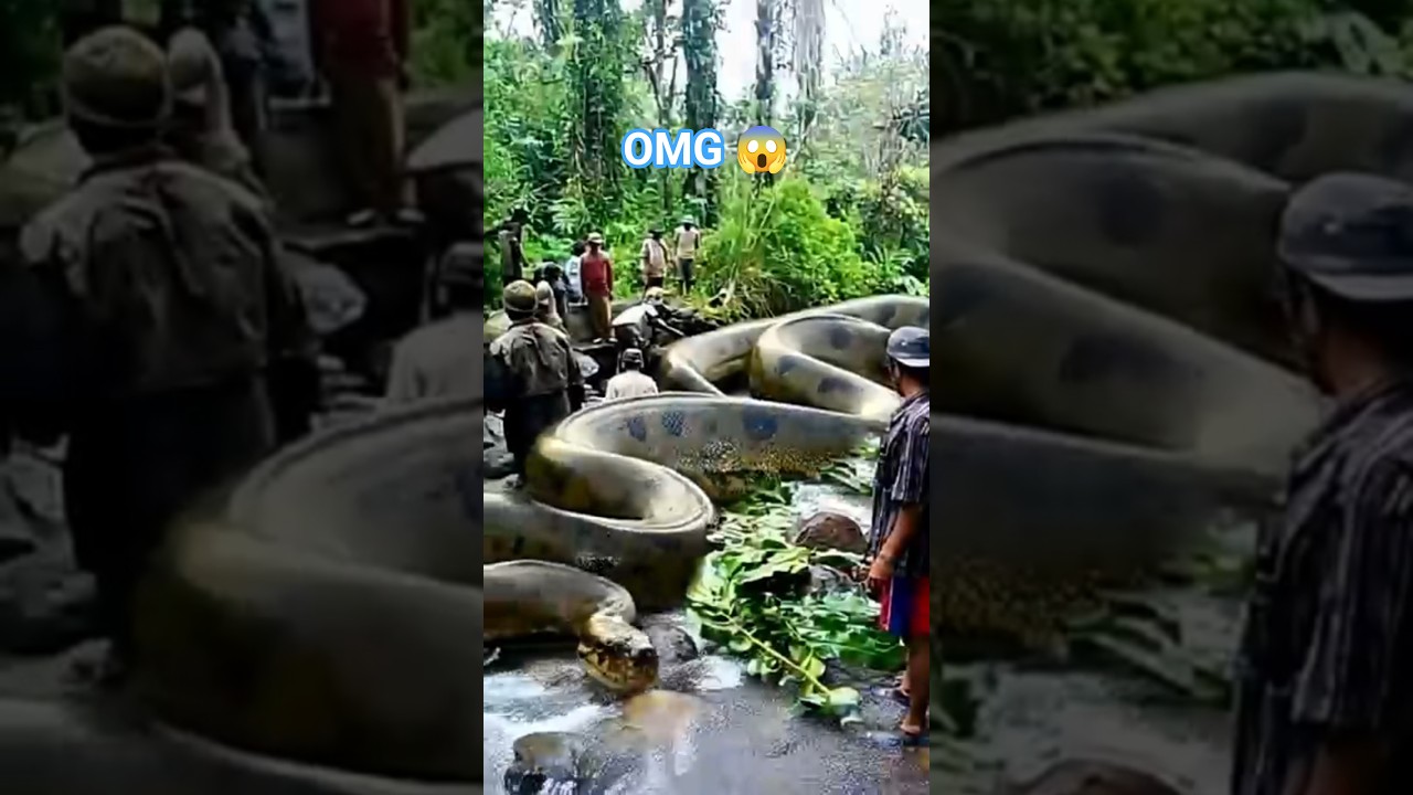 Moving Giant Mystery Objects! 