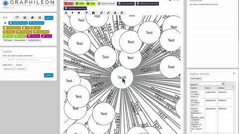 undo Function in graphileon