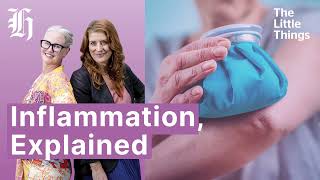 Is inflammation really as bad as we think? | The Little Things