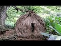 Visite de waimea valley  hawa oahu