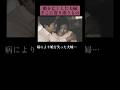 【感動】娘を亡くした夫婦。そこに寄り添うものとは？ #感動する話 #泣ける話 #ほっこりする話