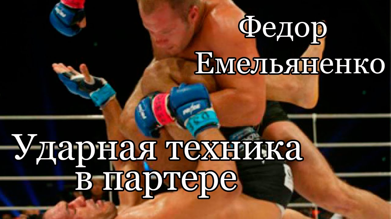 Схема тренировок федора емельяненко