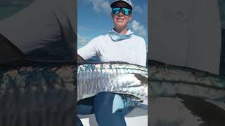 GIANT SPANISH MACKEREL FOR LENI OF @YLB-FISHING #SPANISHMACKEREL #AUSTRALIA