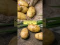 Как продлить молодость, снять стресс и тревогу, лучше высыпаться?