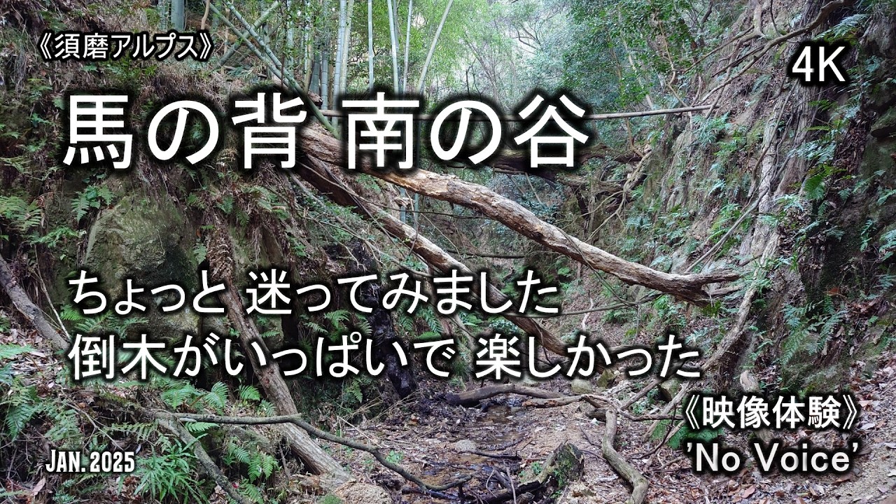 ちょっと迷いましたが それも楽しかったです😅⛰️🌳 (No Voice / Nature Sounds / POV)  須磨アルプス 天井川右俣 谷 登山 平尾山 妙法寺 南の谷
