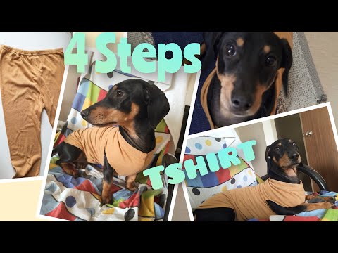 Video: DIY vanha t-paita koiran sänky