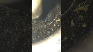 Old Cation Exchange (Softener) Resin vs New screenshot 2