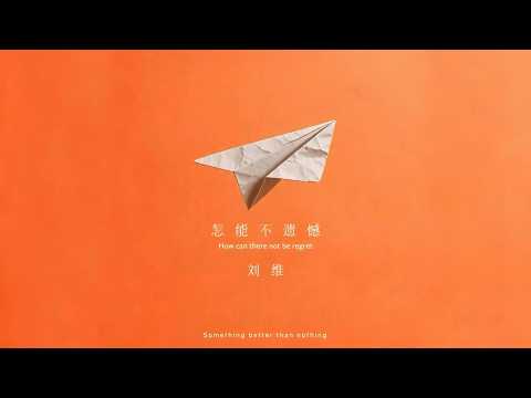 怎能不遗憾 - 刘维