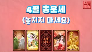 [타로/타로점]4월 총운!!!!!