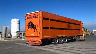 livestock trailer animal carrier hayvan taşıma dorsesi