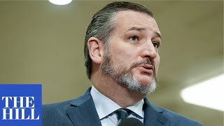 Key Republicans help STOP Ted Cruz amendment