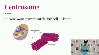 Cell and its organelles / Rubrics 2 / Bhargav pandya
