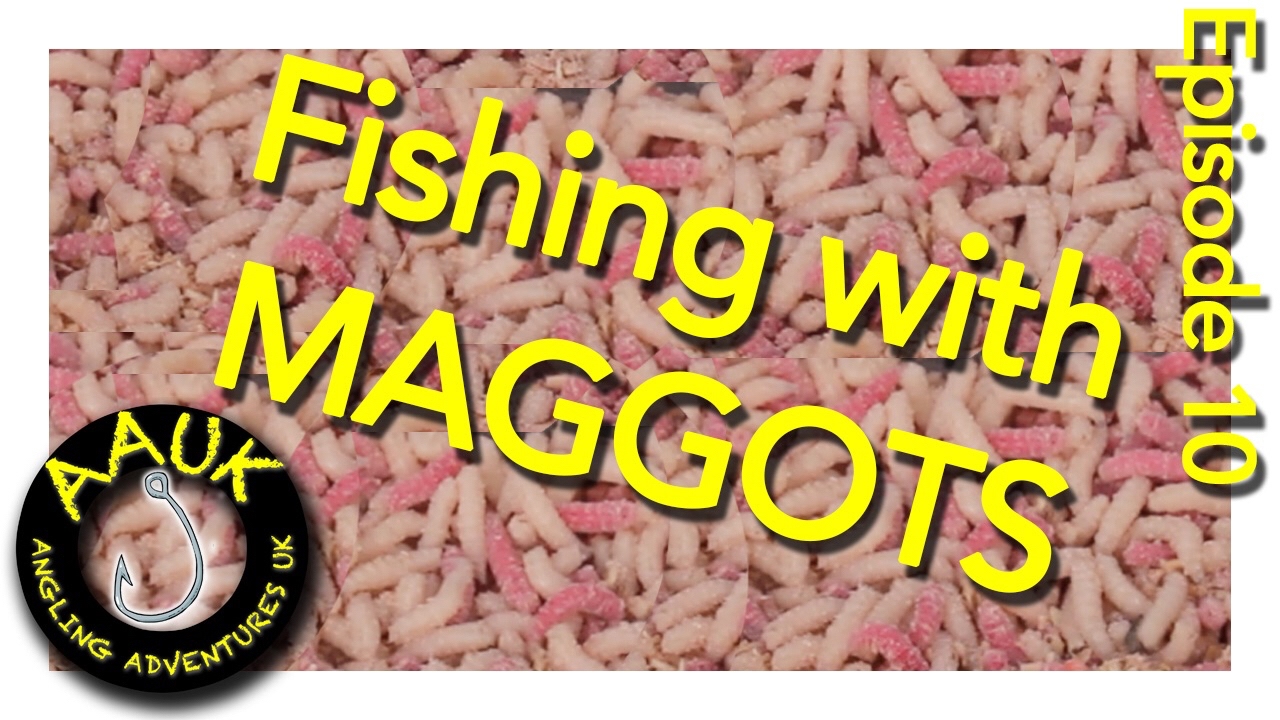 Episode 10 Fishing with Maggots YouTube Episode 10 Fishing with Maggots YouTube