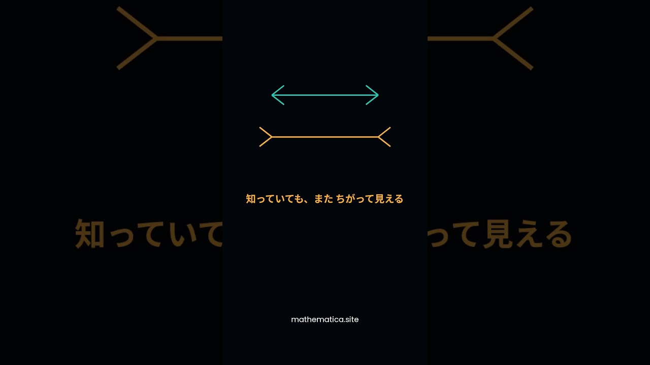 長さが違って見える2本の線、実は同じ