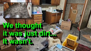 Cleaning a house that was DESTROYED by a pet hoarder