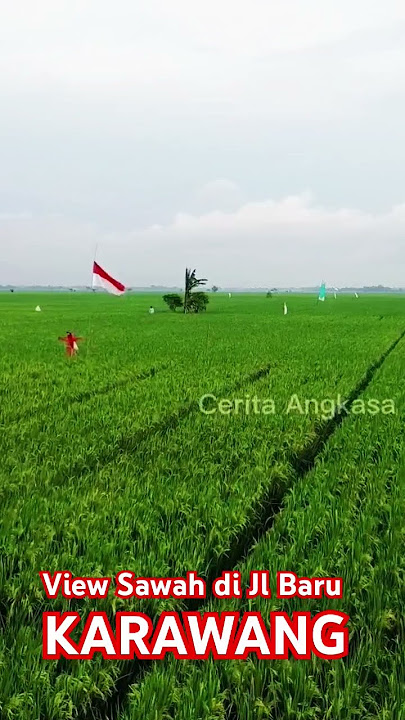 View Sawah KARAWANG #dji #drone #wisatakarawang