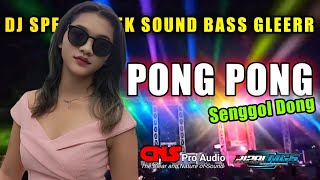 Dj Pong Pong Terbaru 2021 | Dj Cek Sound Bass Horeg Glerr Ft CNS Pro Audio