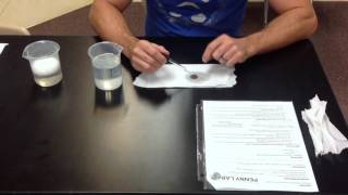 Penny Lab