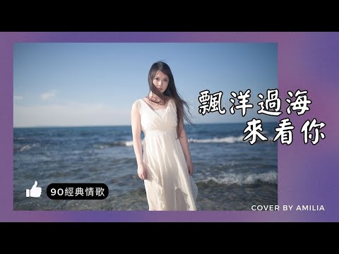 【飄洋過海來看你】原唱 娃娃(金智娟) 李宗盛作曲 (動態歌詞) 1991經典情歌 Cover by Amilia