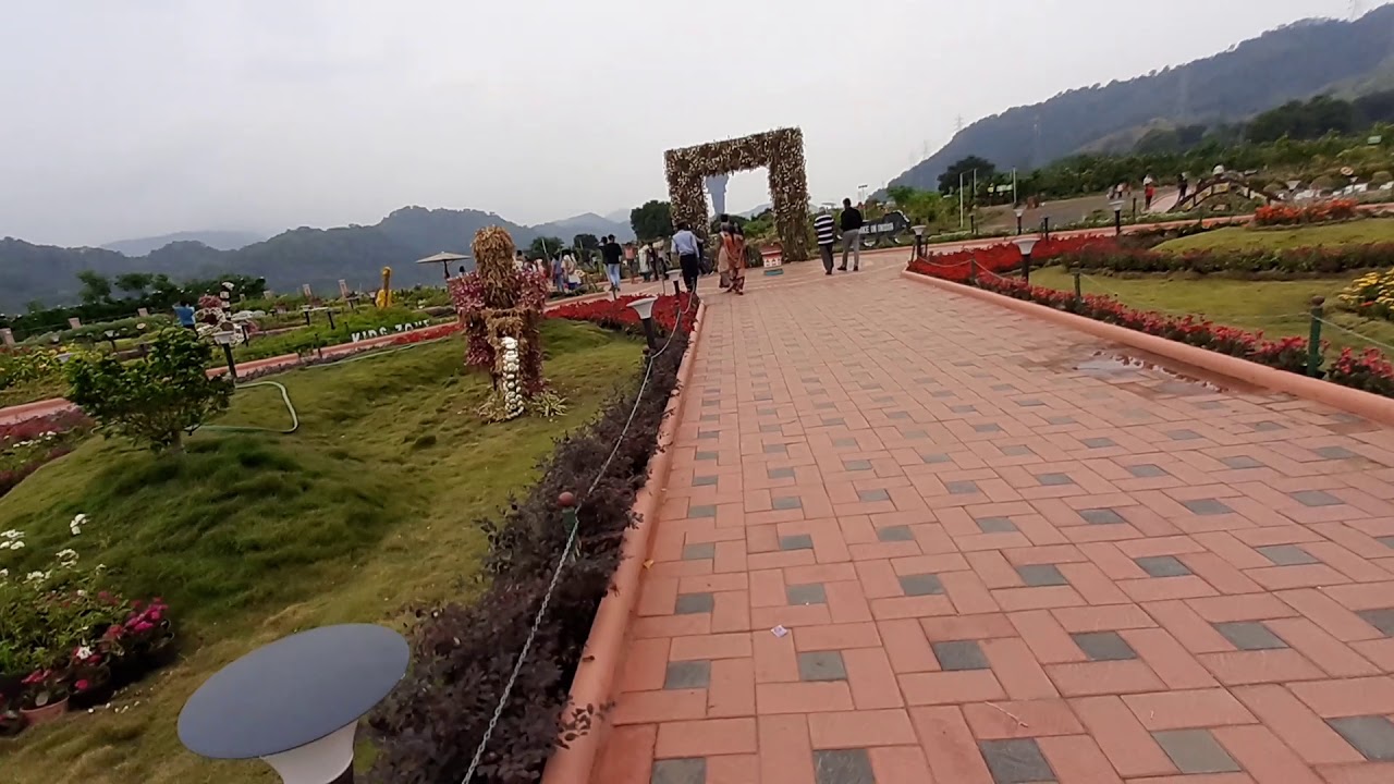 Valley of Flower Gujarat YouTube