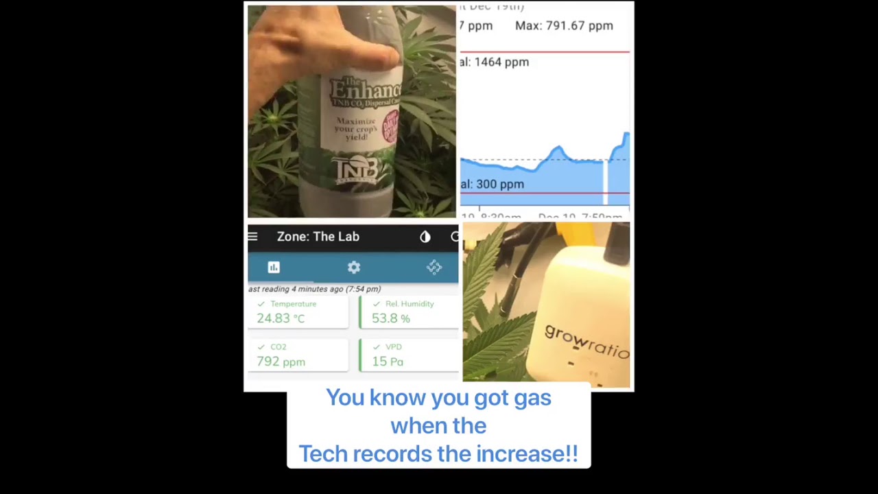 madd rabbit  go to work!! kool Moe D Caught the the bubble on the ESU and you can see that @tnb natu