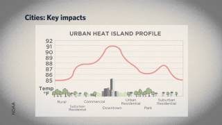 7.4 Climate Change Impacts in Cities