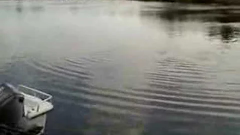 Margaritaville--Spring Break in the Florida Keys