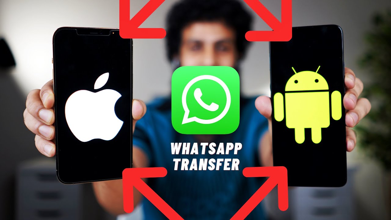 Transfer WhatsApp From Android To IPhone MobileTrans YouTube