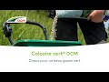 Chaux pour un beau gazon vert  dcm calcaire vert