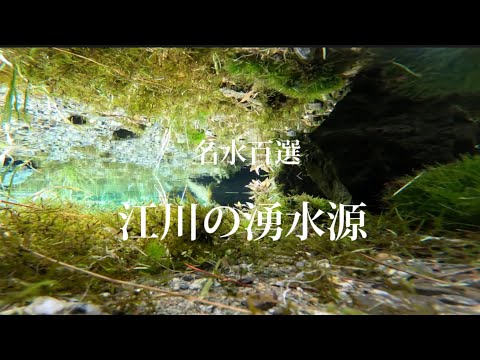 【四国、徳島】江川の湧水源【名水百選】