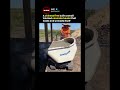 This Micro Tracked Concrete Buggy Can Drive Anywhere Without Sinking