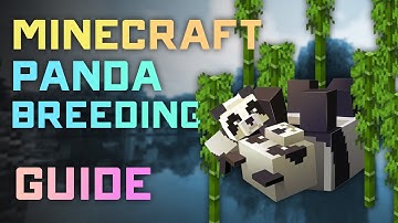 Minecraft Panda Breeding & Farming Tutorial – Step-by-Step Guide!