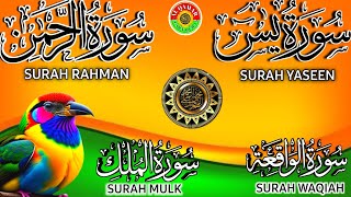 Ep 228 Surah Yaseen 🌲 Surah Rahman 🌲 Surah Waqiah 🌲 Surah Mulk 🌲4 Quls 🌲 @IQRAALQURANKARIM