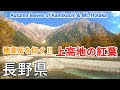 長野県 上高地の紅葉（大正池・田代池・梓川・河童橋） / Autumn leaves of Kamikochi and Mt. Hotaka ( Nagano, Japan )【日本の紅葉絶景！】